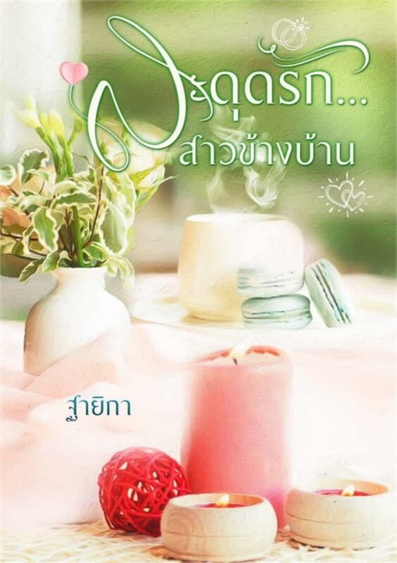 ปกหนังสือ สะดุดรัก...สาวข้างบ้าน