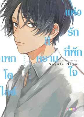 ปกหนังสือ เพกโตไลต์สีครามแห่งรักที่พักใจ (เล่มเดีย