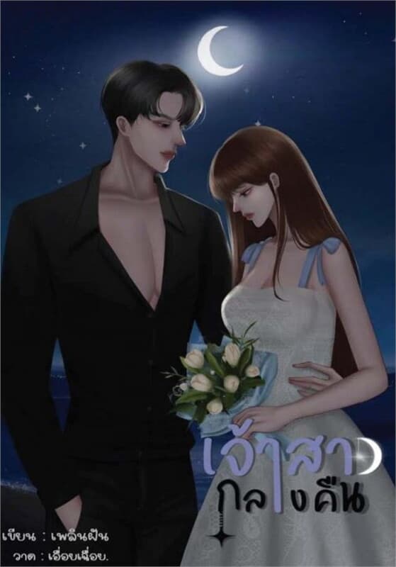 ปกหนังสือ เจ้าสาวกลางคืน