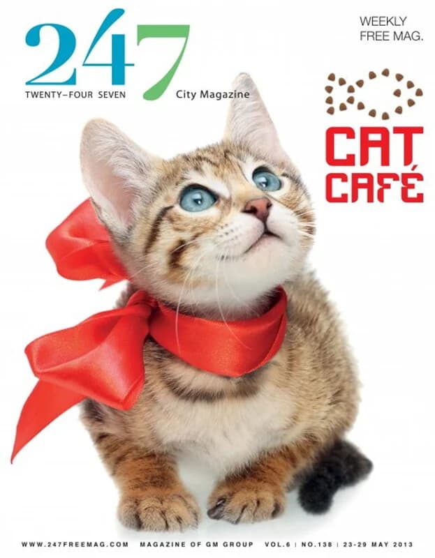 ปกหนังสือ 247 FreeMag138(ฟรี)