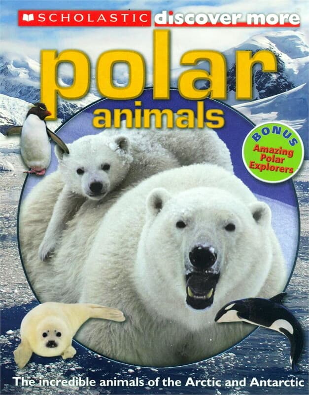 ปกหนังสือ SCHOLASTIC DISCOVER MORE: POLAR ANIMALS
