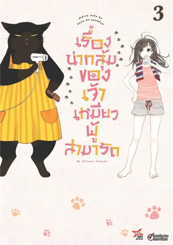 ปกหนังสือ เรื่องน่ากลุ้มของเจ้าเหมียวผู้สามารถ เล่ม 3