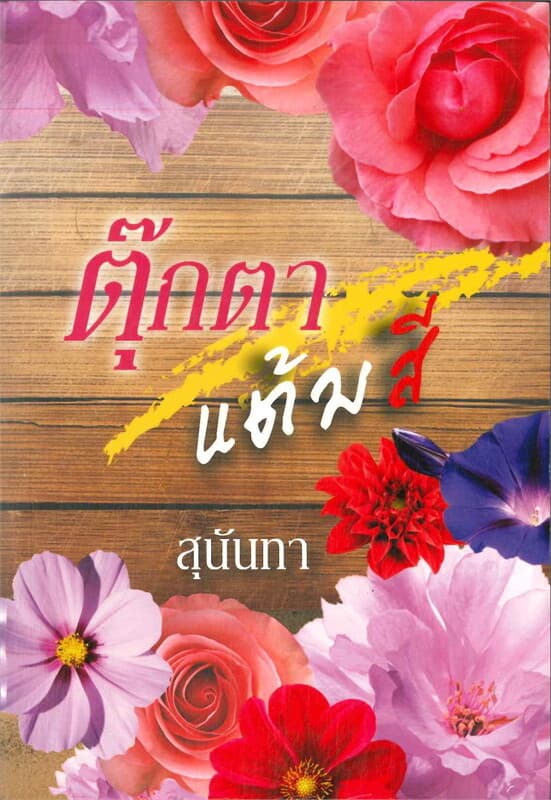 ปกหนังสือ ตุ๊กตาแต้มสี