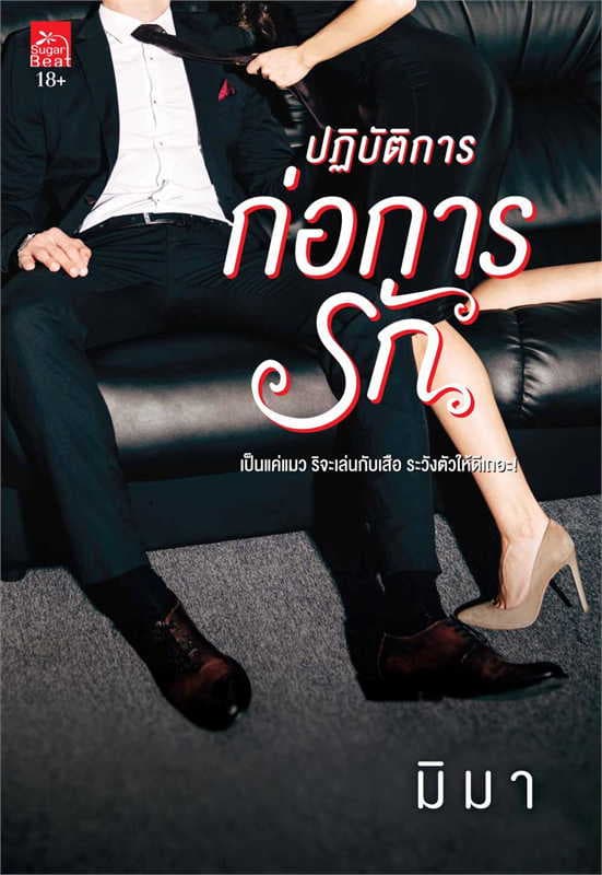 ปกหนังสือ ปฏิบัติการก่อการรัก