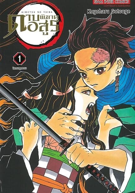 ปกหนังสือ ดาบพิฆาตอสูร เล่ม 1 NEW EDITION