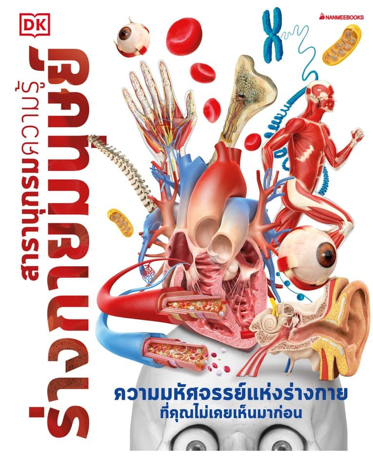 ปกหนังสือ สารานุกรมความรู้ ร่างกายมนุษย์ (ปกแข็ง)