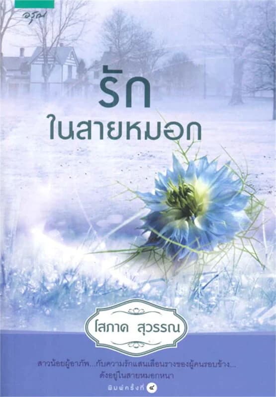 ปกหนังสือ รักในสายหมอก