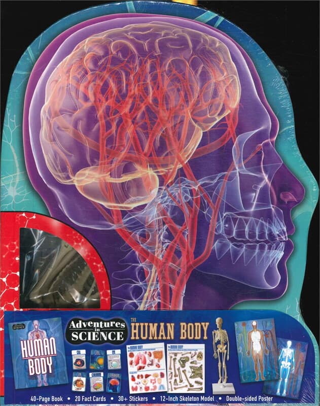 ปกหนังสือ Adventures in Science: The Human Body