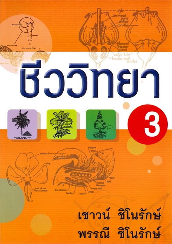 ปกหนังสือ ชีววิทยา เล่ม 3