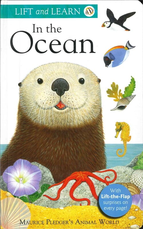 ปกหนังสือ Lift and Learn: In the Ocean