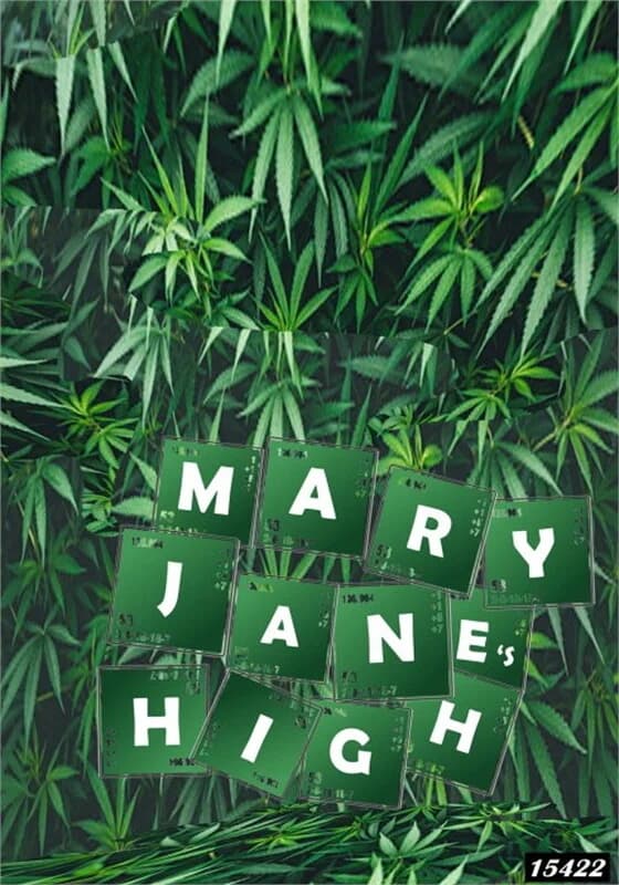 ปกหนังสือ mary jane's high