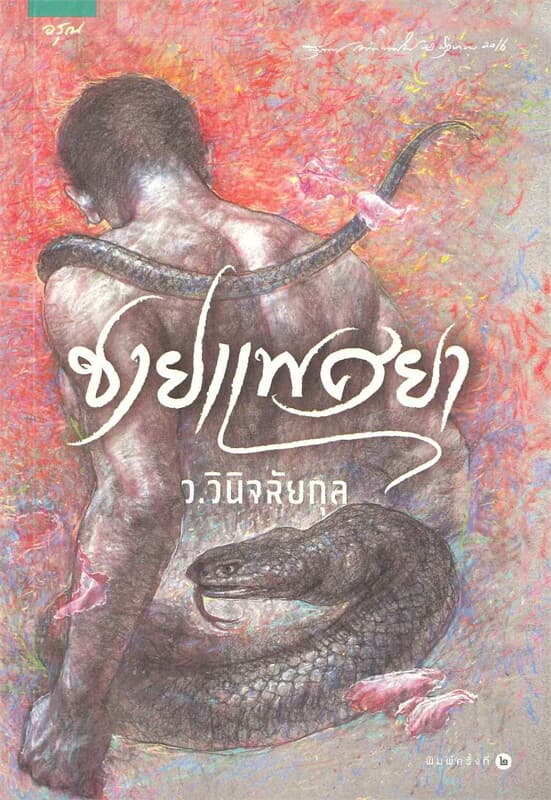 ปกหนังสือ ชายแพศยา