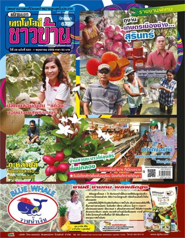 ปกหนังสือ เทคโนโลยีชาวบ้าน ฉ.622 ปักษ์แรก พ.ค 59