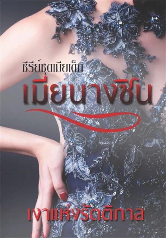 ปกหนังสือ เมียนางซิน ซีรีย์ชุดเมียเด็ก