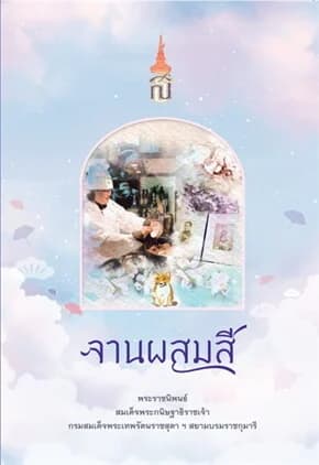 ปกหนังสือ จานผสมสี