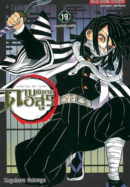 ปกหนังสือ ดาบพิฆาตอสูร เล่ม 19 NEW EDITION