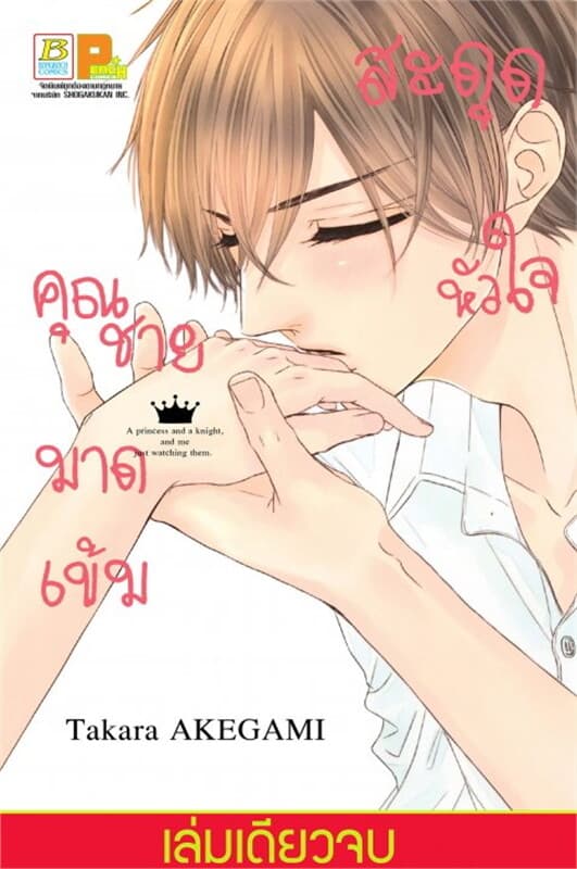 ปกหนังสือ สะดุดหัวใจคุณชายมาดเข้ม (เล่มเดียวจบ)