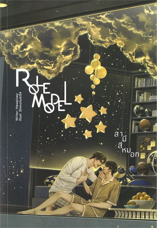ปกหนังสือ Role Model สามีสีหมอก