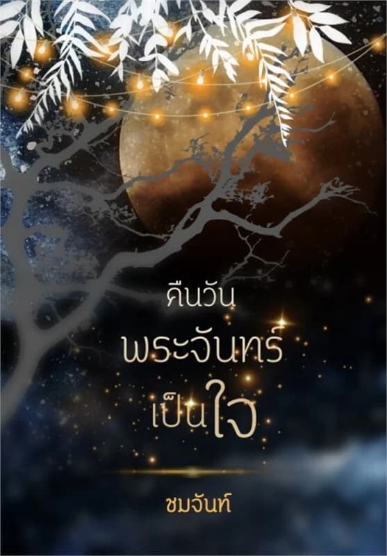 ปกหนังสือ คืนวันพระจันทร์เป็นใจ