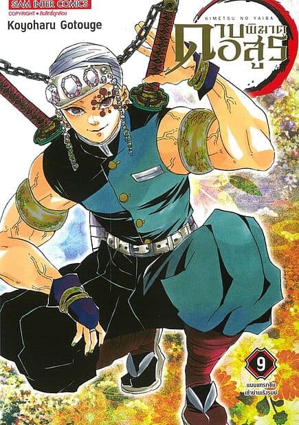 ปกหนังสือ ดาบพิฆาตอสูร เล่ม 9 NEW EDITION