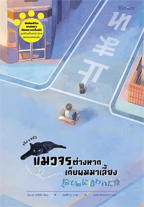 ปกหนังสือ จริง ๆ แล้วแมวจรต่างหากเก็บผมมาเลี้ยง