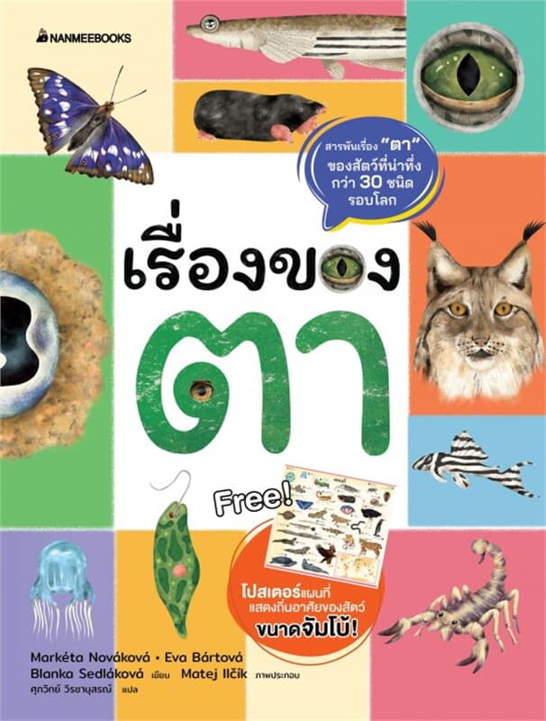 ปกหนังสือ เรื่องของตา