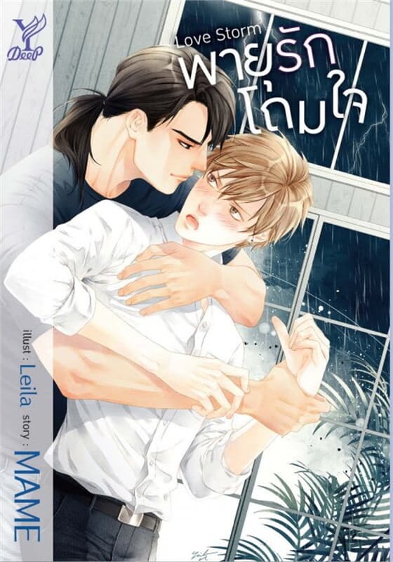 ปกหนังสือ Love Storm พายุรักโถมใจ