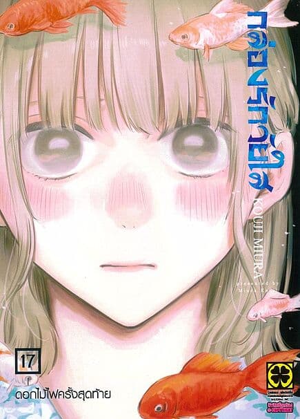 ปกหนังสือ กล่องรักวัยใส เล่ม 17