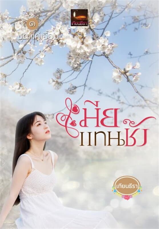 ปกหนังสือ เมียแทนชัง