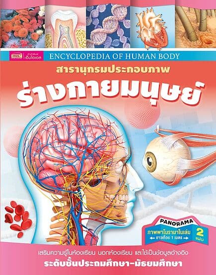 ปกหนังสือ สารานุกรมประกอบภาพ ร่างกายมนุษย์(ปกแข็ง)