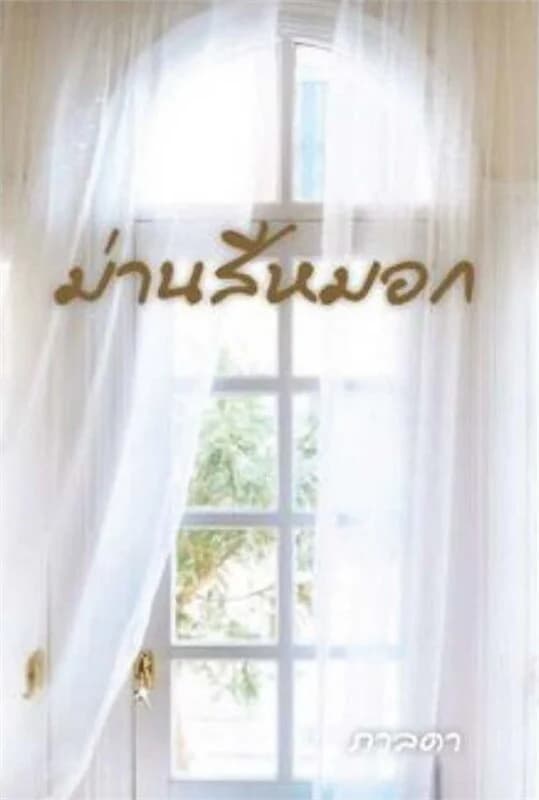 ปกหนังสือ ม่านสีหมอก