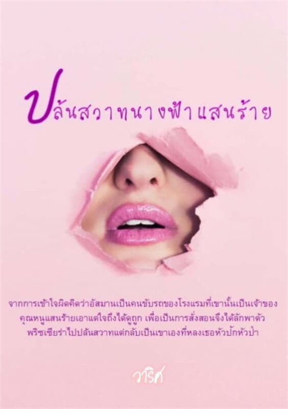 ปกหนังสือ ปล้นสวาทนางฟ้าแสนร้าย