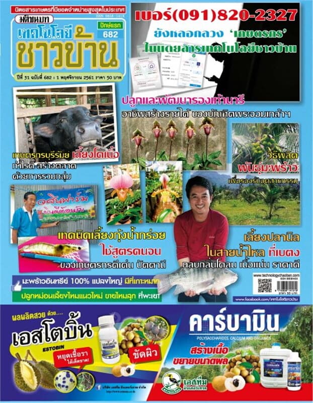 ปกหนังสือ เทคโนโลยีชาวบ้าน ฉบับที่ 682 ปักษ์แรก พฤศจิกายน 2561