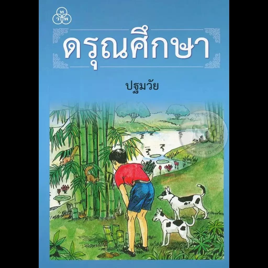 ปกหนังสือ ดรุณศึกษา ปฐมวัย (ใหม่)