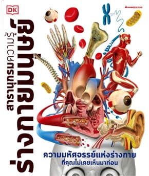 ปกหนังสือ ร่างกายมนุษย์: สารานุกรมความรู้ (ปกแข็ง)