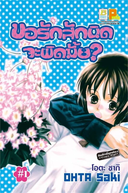 ปกหนังสือ ขอรักสักนิดจะผิดมั้ย 1