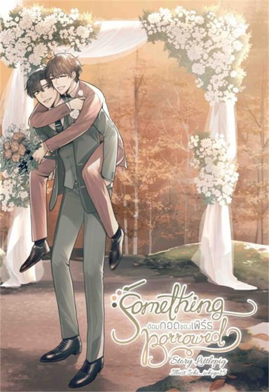 ปกหนังสือ Something Borrowed อ้อมกอดของเพิร์ธ