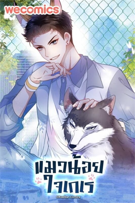 ปกหนังสือ SET แมวน้อยใจเกเร เล่ม 1-17 (จบ)