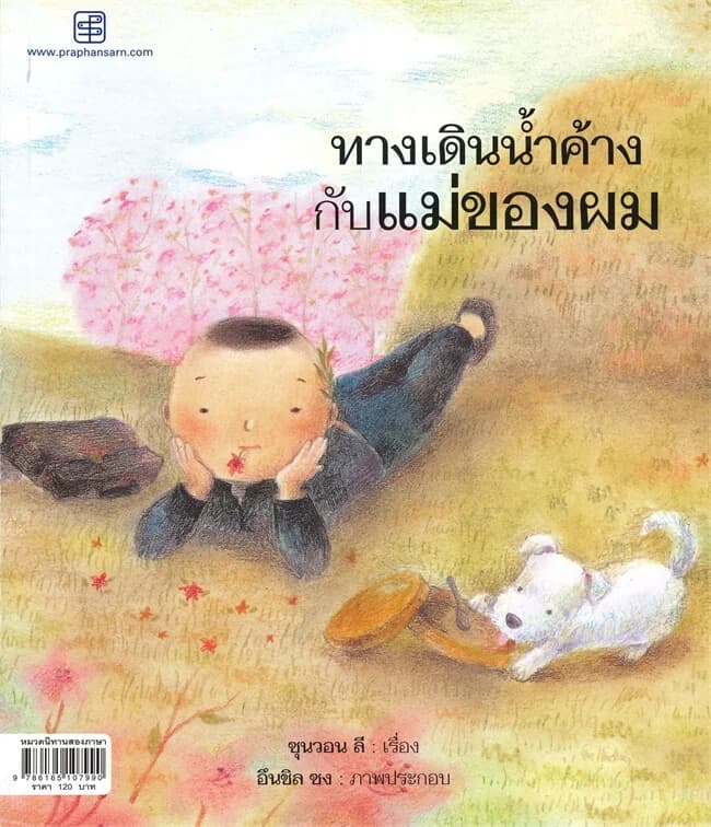 ปกหนังสือ ทางเดินน้ำค้างกับแม่ของผม : Misty Morning Walk with Mother