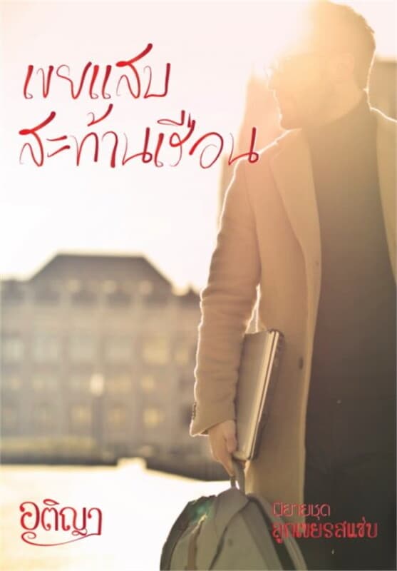ปกหนังสือ เขยแสบสะท้านเรือน