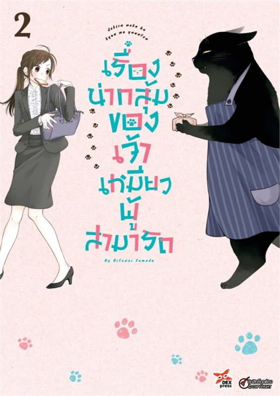 ปกหนังสือ เรื่องน่ากลุ้มของเจ้าเหมียวผู้สามารถ เล่ม 2