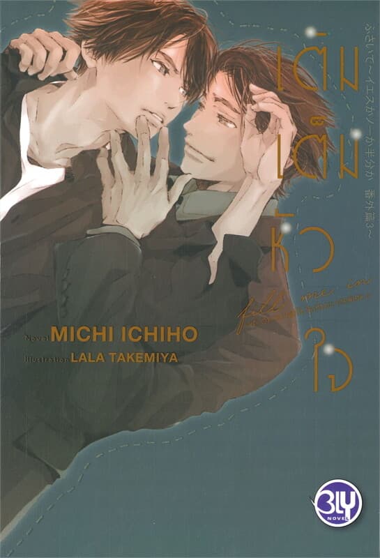 ปกหนังสือ เติมเต็มหัวใจ -YES OR NO คนที่ใช่ ใครที่ชอบ-