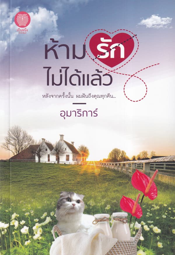 ปกหนังสือ ห้ามรักไม่ได้แล้ว