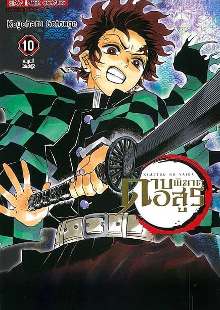 ปกหนังสือ ดาบพิฆาตอสูร เล่ม 10 NEW EDITION