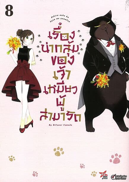 ปกหนังสือ เรื่องน่ากลุ้มของเจ้าเหมียวผู้สามารถ เล่ม 8