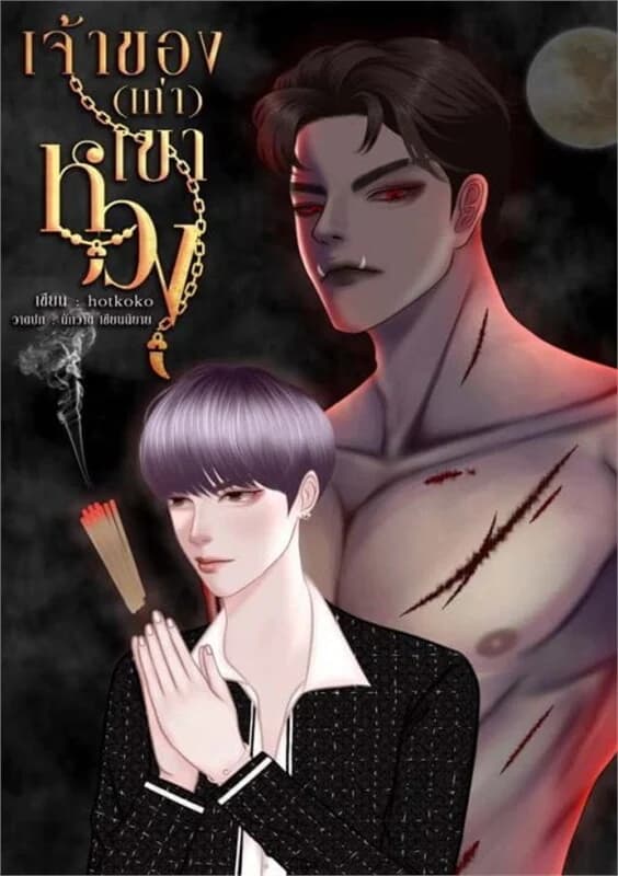 ปกหนังสือ เจ้าของ(เก่า)เขาหวง