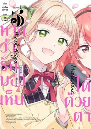 ปกหนังสือ หากว่ารักมองเห็นได้ด้วยตา เล่ม 3 (เล่มจบ)(Mg)