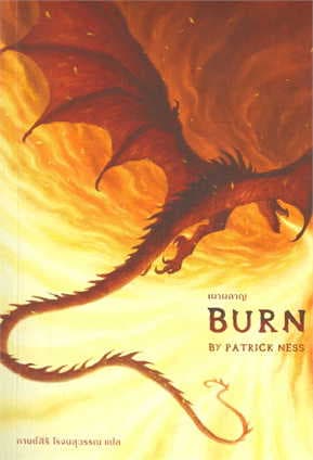 ปกหนังสือ เผาผลาญ BURN