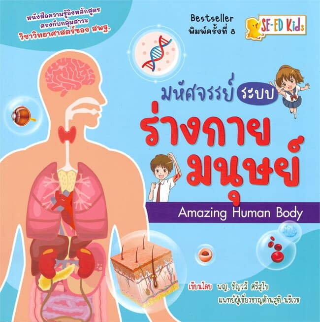 ปกหนังสือ มหัศจรรย์ระบบร่างกายมนุษย์ Amazing Human Body