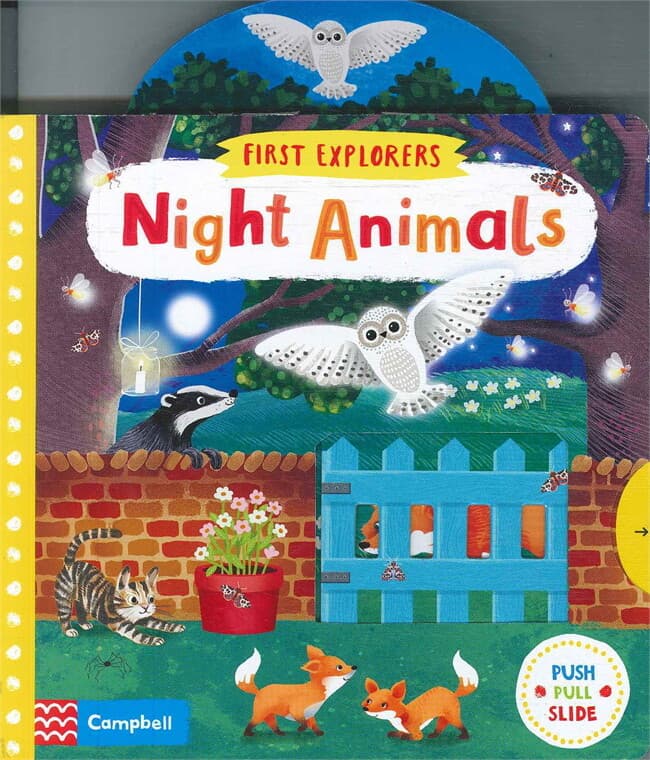 ปกหนังสือ Night Animals
